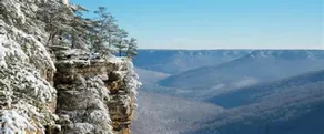 Greeter Falls Lodge 6 - Image 5