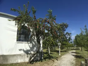 4 bedrooms villa with private pool enclosed garden and wifi at Penafiel - Image 3