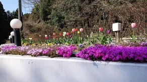 Flower Villa Sagamiko - Image 3