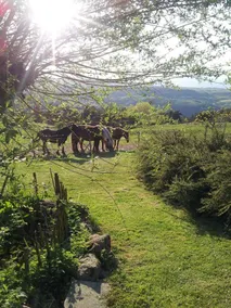 Ferme de la Bonnefontaine - Image 3