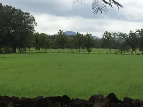 Rancho Curubande Lodge - Image 3