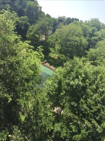 Inverness Condos Comal River - Image 3