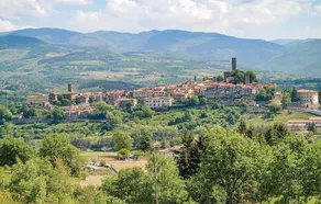 Il Quercetino - Image 5
