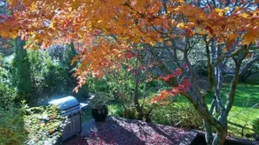 Leura Country Cottage - Image 3