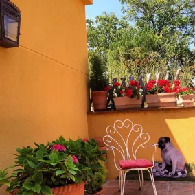 Mihotelito - Image 5