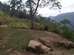 Ella Upper Hill - Image 4