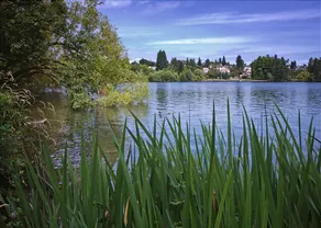 Phinney Suites Retreat - Two Bedroom Townhome with Fireplace - Image 5