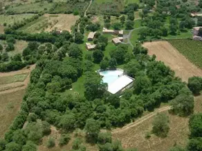 Country Mandra Edera - Image 3