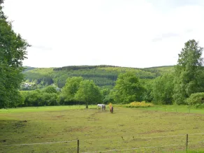 Holiday Home in Vencimont With Terrace - Image 5