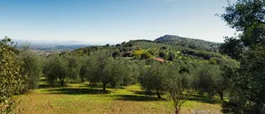Country House Montali - Image 4
