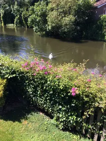 Pixie Place, Royal Windsor, Riverside Home, West London, Free Wifi /parking - Image 5