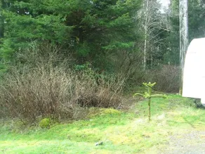 Holberg B&B - Image 5