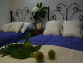 Badajoz 101531 Holiday home By Mo Rentals - Image 2