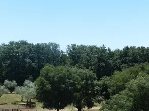 Ranch Radin - Image 4