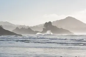 South Chestermans Beach Retreat - Image 4