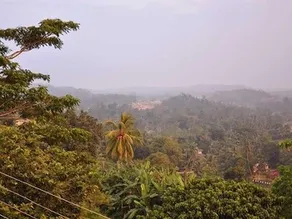 Hilltop Boutique Villa - Image 3