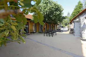 Quinta das Tulipas - Image 2