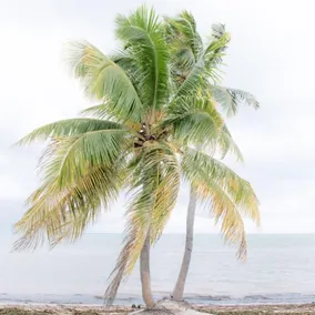 Sea Oats Beach by Florida Keys Luxury Rentals - Image 5