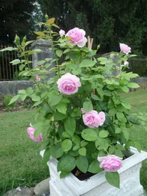 Bearn Bed & Breakfast - Image 5