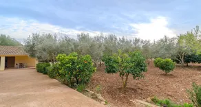 Sa Coveta - Image 5
