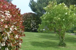 LA CADANELLAU - Image 3