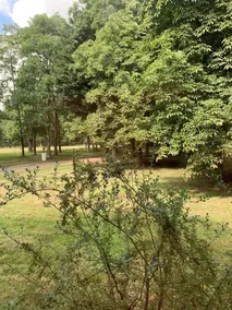 Wensum Glamping - Image 5