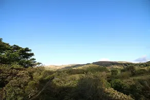 Cabina Las Marias - Image 5