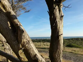 Camping la Forêt - Image 2
