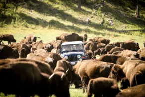 State Game Lodge - Image 4