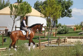 Quinta M - Image 5