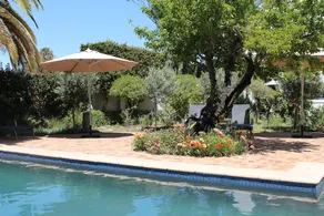 Stellendal Guest House - Image 5