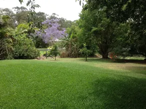 Jacaranda Cottages - Image 4