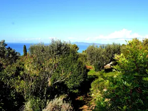 Cozy Holiday Home in Monte Argentario With Private Garden - Image 5