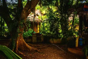 Lennon's Place Backpacker Hostel - Image 2