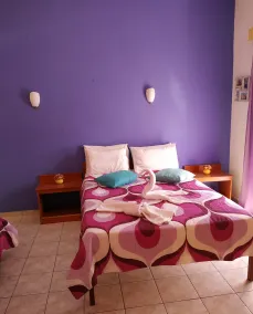 New Pantheon Hotel - Image 4
