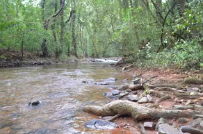 Mangaal Farmstay Goa - Image 2
