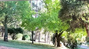 Eemnes Park Estate - Image 2