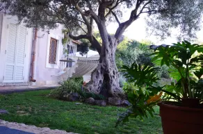 La casa del panorama - Image 2
