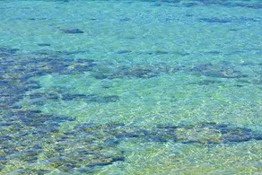 Shambala Holiday Rental Villa - Image 4