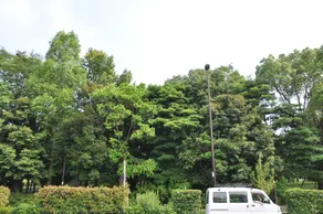 Kiba House - Image 4