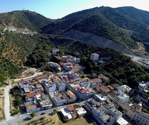 Difo - Image 2