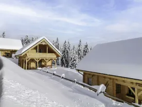 Buchfink Hochrindl in Hochrindl - Image 3