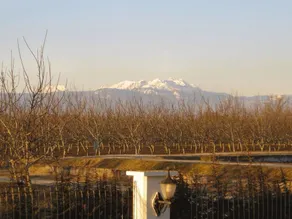 Luxury Villa Near Venice in the Prosecco Region - Image 3