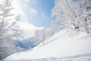 Niseko Hakuunso - Image 4