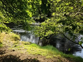 Cysgod y Coed Self Catering Accommodation - Image 3