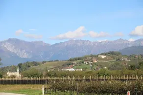 B&B Cjampa - Image 3