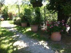 Cascina Zenevrea - Image 2
