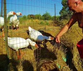 Agriturismo Osteria Vecchia - Image 5