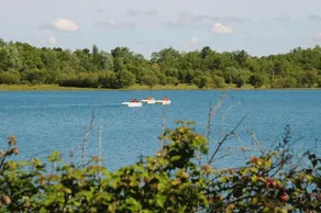 Le Chene Couche - Image 4