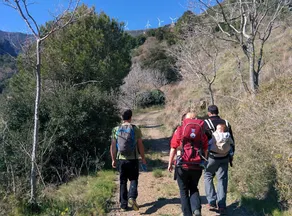 Cal Salut - Image 3